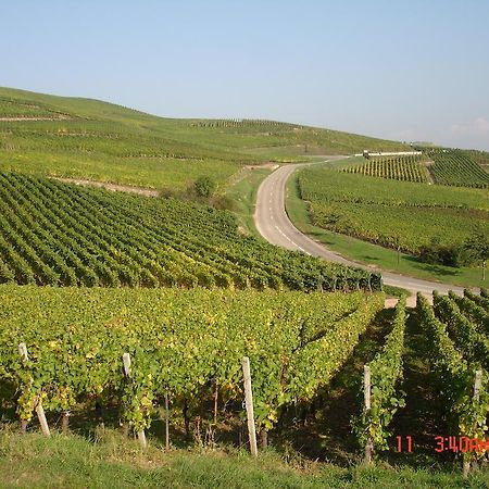 Gite Du Vigneron Turckheim Esterno foto